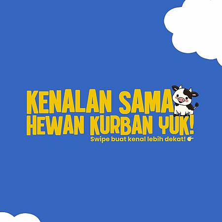Kenalan Sama Hewan Qurban Yuk !!!